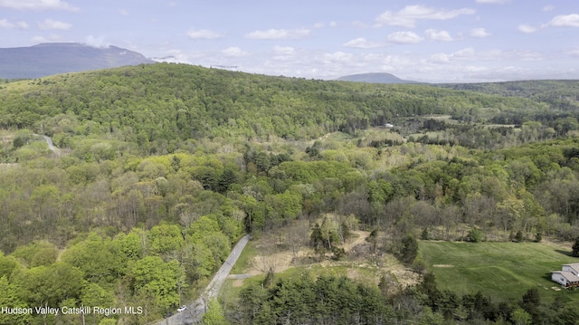 LOT3 High Falls Rd, Catskill, NY 12414