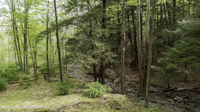 LOT3 High Falls Rd, Catskill, NY 12414