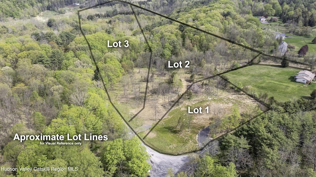 LOT3 High Falls Rd, Catskill, NY 12414