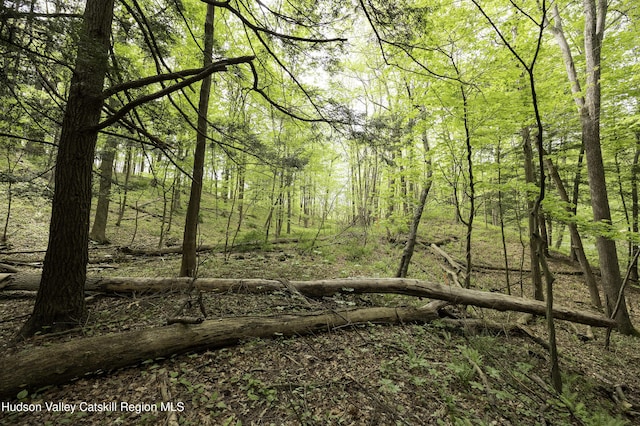 LOT3 High Falls Rd, Catskill, NY 12414