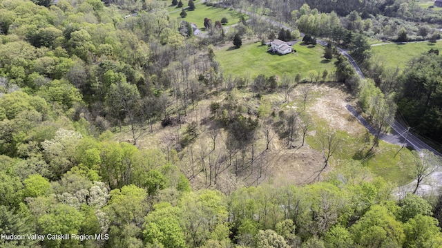 LOT3 High Falls Rd, Catskill, NY 12414