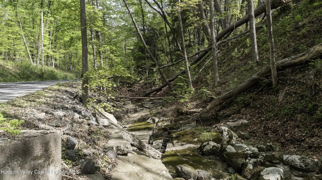 LOT3 High Falls Rd, Catskill, NY 12414