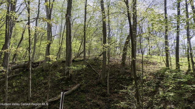 LOT3 High Falls Rd, Catskill, NY 12414