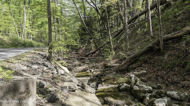 LOT3 High Falls Rd, Catskill, NY 12414