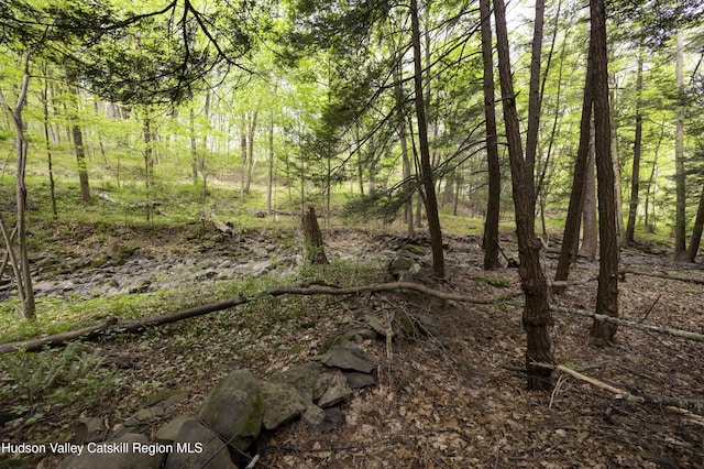 LOT3 High Falls Rd, Catskill, NY 12414