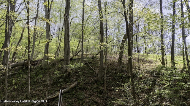 LOT3 High Falls Rd, Catskill, NY 12414