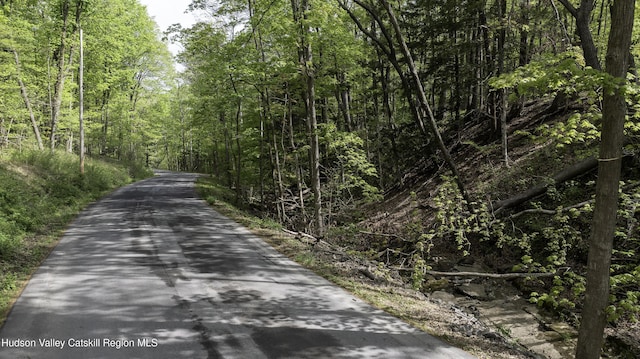 LOT3 High Falls Rd, Catskill, NY 12414