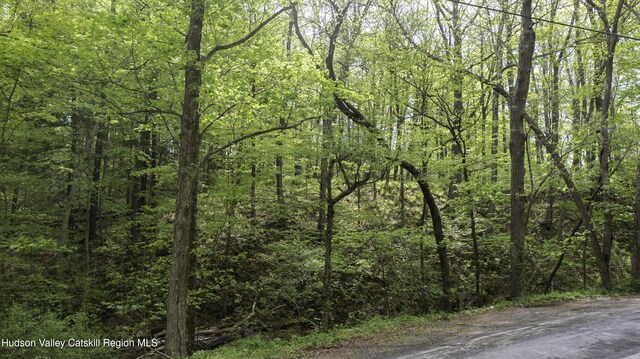 LOT3 High Falls Rd, Catskill, NY 12414