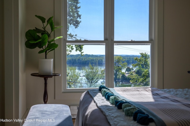 bedroom featuring a water view