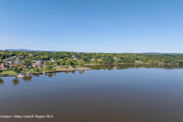 property view of water