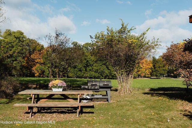 view of home's community with a lawn