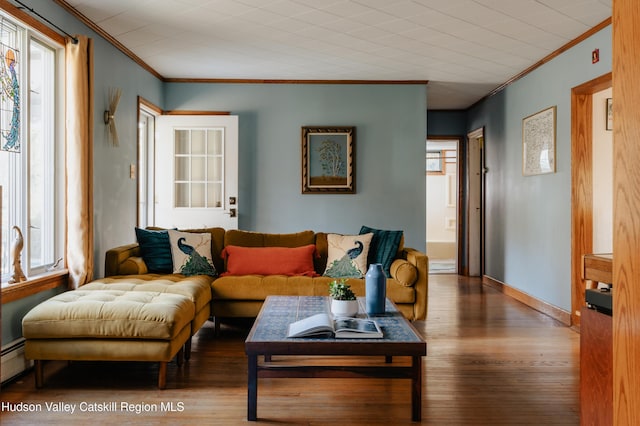 living room featuring hardwood / wood-style floors and crown molding