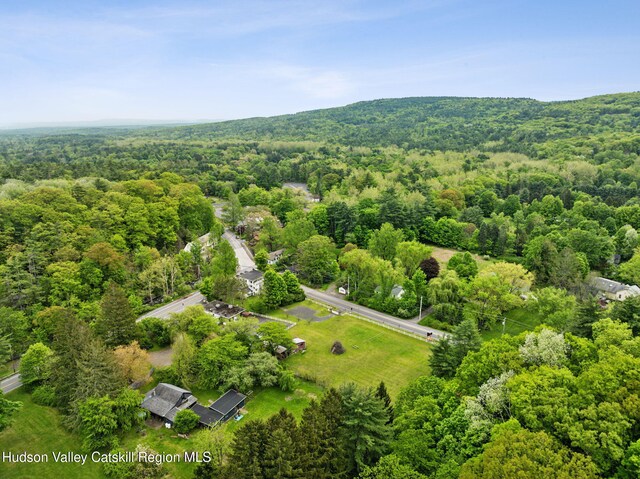 3207-3209 Rte 212, Woodstock, NY 12498 - photo 44