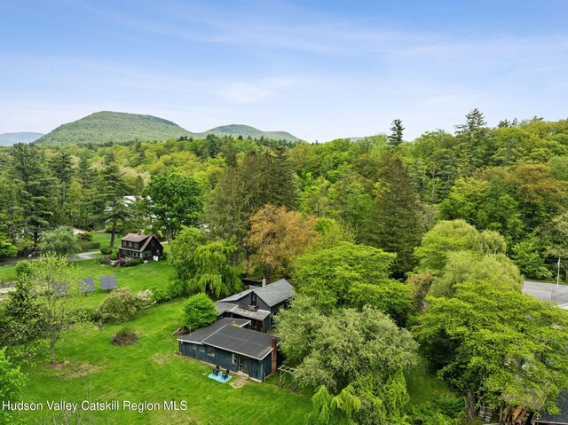 3207-3209 Rte 212, Woodstock, NY 12498 - photo 3