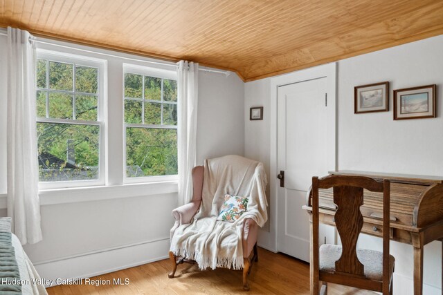 3207-3209 Rte 212, Woodstock, NY 12498 - photo 11