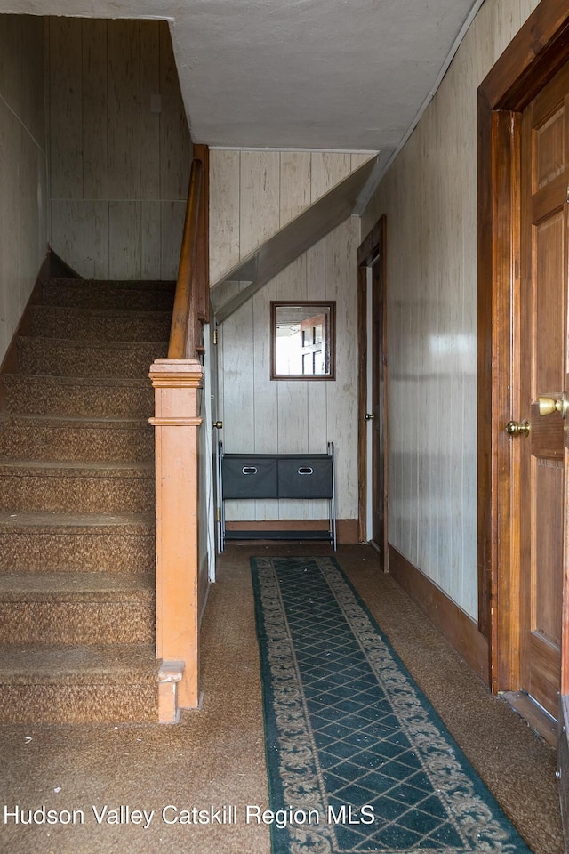stairs featuring carpet and wooden walls
