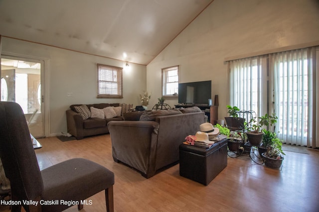 living room featuring light hardwood / wood-style floors and high vaulted ceiling