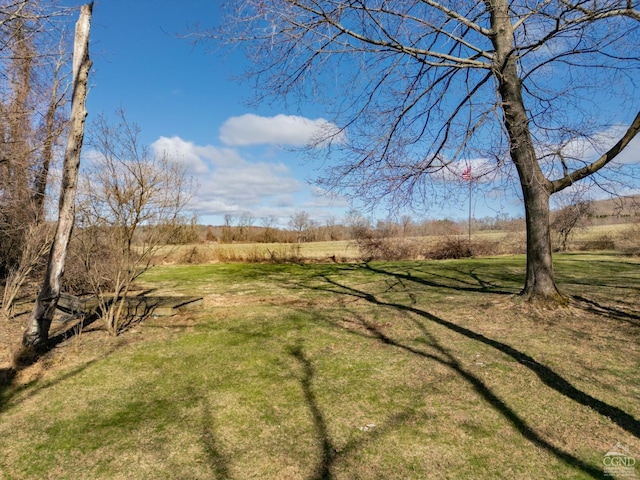 53 Snyder Pond Rd, Copake, NY 12516 - view of grassy yard
