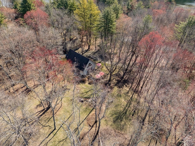 53 Snyder Pond Rd, Copake, NY 12516 - view of subject property featuring a forest