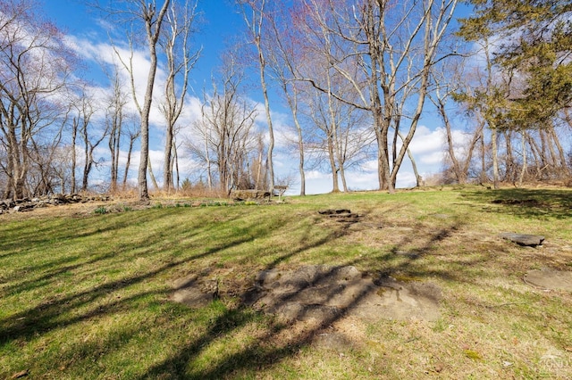 53 Snyder Pond Rd, Copake, NY 12516 - view of grassy yard