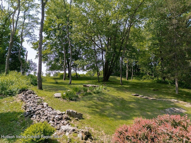53 Snyder Pond Rd, Copake, NY 12516 - view of green lawn