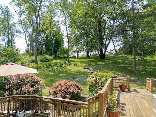 53 Snyder Pond Rd, Copake, NY 12516 - view of grassy yard with a deck