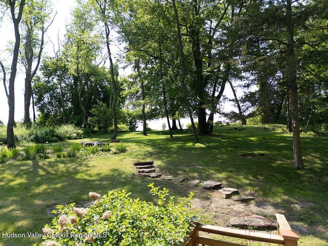 53 Snyder Pond Rd, Copake, NY 12516 - view of green lawn