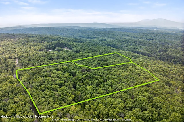TBD Dug Hill Rd, Hurley, NY 12443