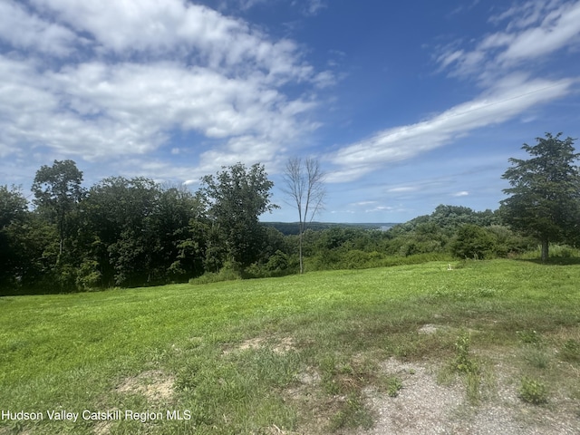 148 Mt Merino Rd, Hudson, NY 12534 - photo 5