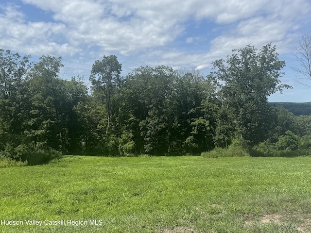 148 Mt Merino Rd, Hudson, NY 12534 - photo 4