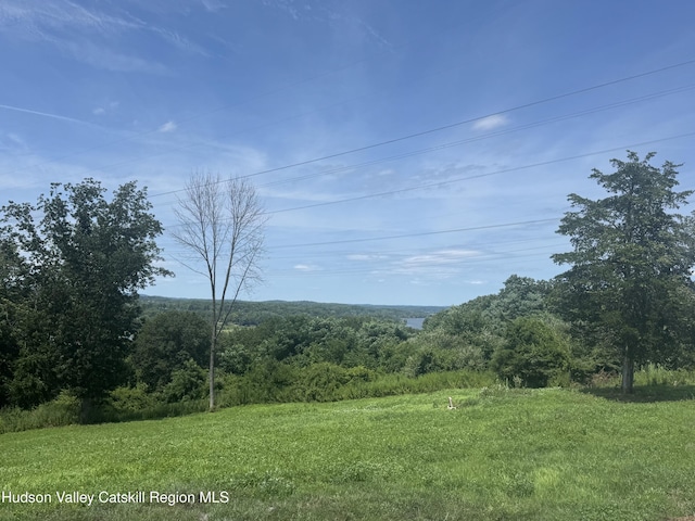 148 Mt Merino Rd, Hudson, NY 12534 - photo 3