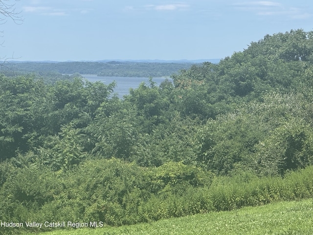 148 Mt Merino Rd, Hudson, NY 12534 - photo 1