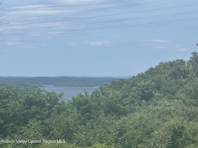 148 Mt Merino Rd, Hudson, NY 12534 - photo 2