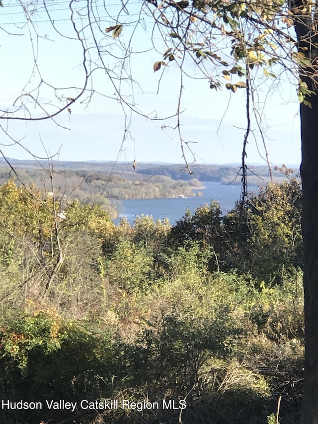 148 Mt Merino Rd, Hudson, NY 12534 - photo 9