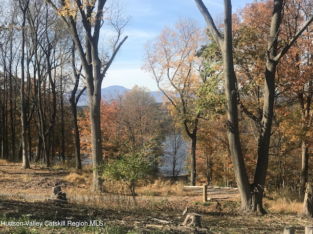 148 Mt Merino Rd, Hudson, NY 12534 - photo 8
