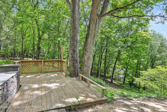 88 Boyce Rd, Glenford, NY 12433 - photo 5