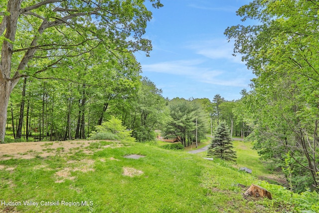 88 Boyce Rd, Glenford, NY 12433 - photo 28