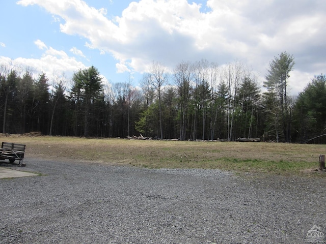86 Grand Rd, East Durham, NY 12423 - photo 12