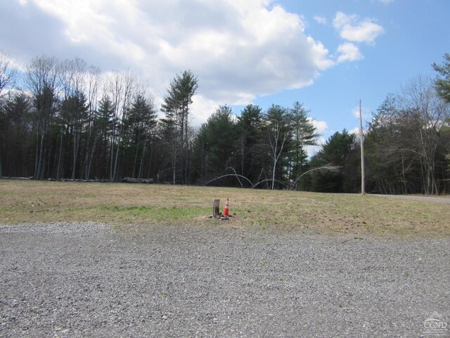 86 Grand Rd, East Durham, NY 12423 - photo 13