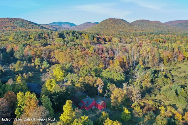 16-26 Shultis Brook Rd, Bearsville, NY 12409