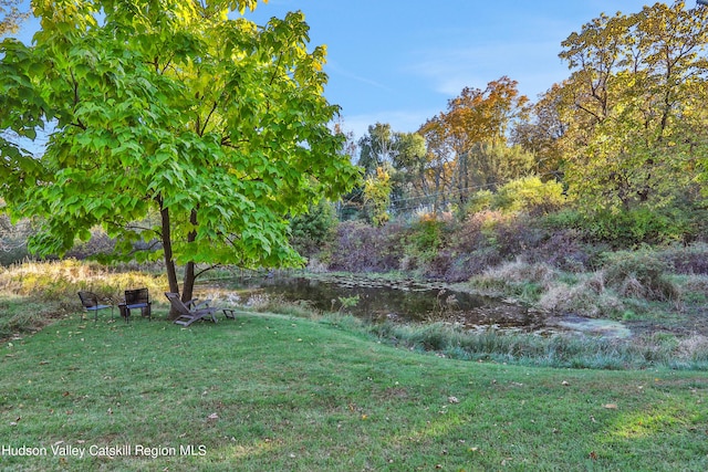 16-26 Shultis Brook Rd, Bearsville, NY 12409 - view of grassy yard