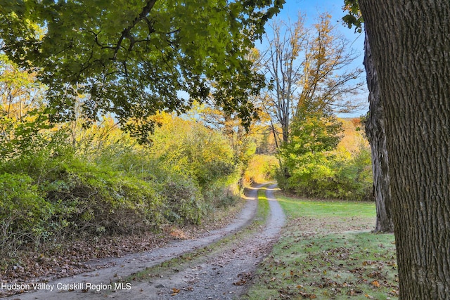 16-26 Shultis Brook Rd, Bearsville, NY 12409 - view of dirt / gravel road featuring a view of trees