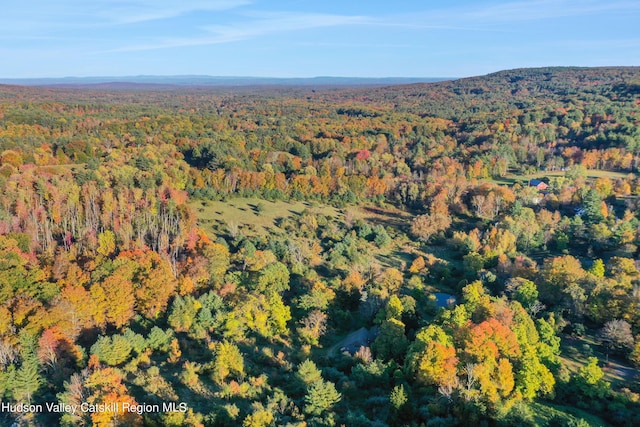 16-26 Shultis Brook Rd, Bearsville, NY 12409 - aerial view of property's location with a forest