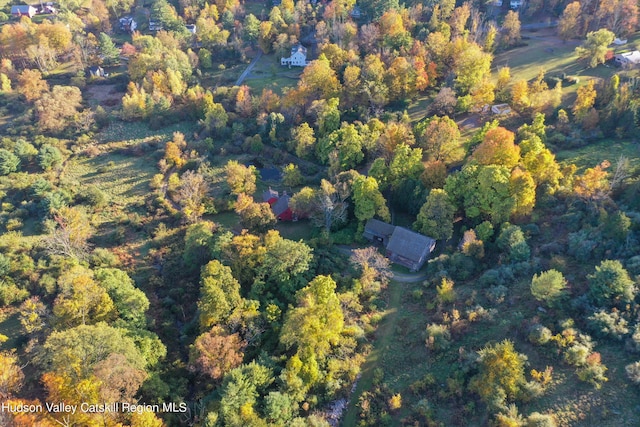 16-26 Shultis Brook Rd, Bearsville, NY 12409 - aerial view of property's location with a forest