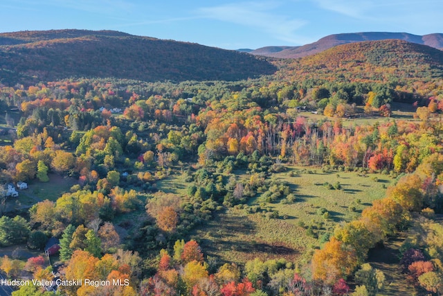 16-26 Shultis Brook Rd, Bearsville, NY 12409 - mountain view featuring a forest
