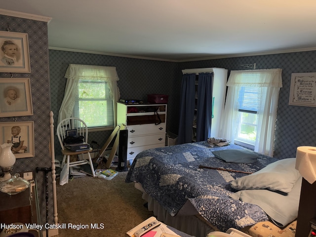 445 Rte 23, Claverack-Red Mills, NY 12513 - photo 12