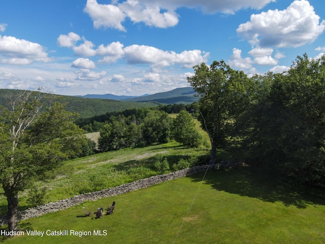 635 Streeter Rd, Fleischmanns, NY 12430 - photo 45