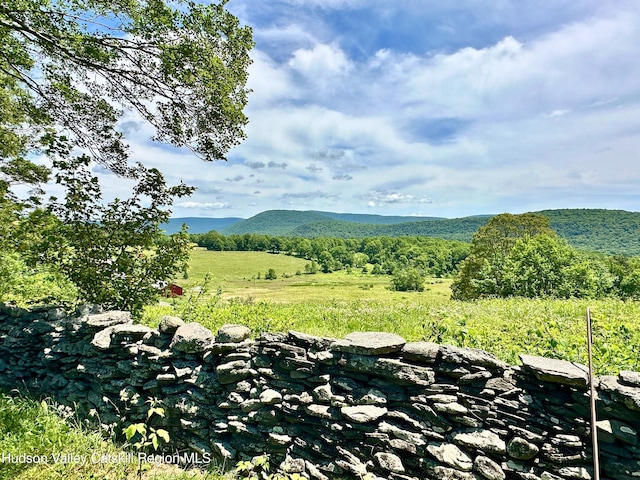 635 Streeter Rd, Fleischmanns, NY 12430 - photo 5