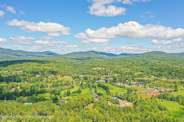 11 Copper Ridge Trl, Windham, NY 12496