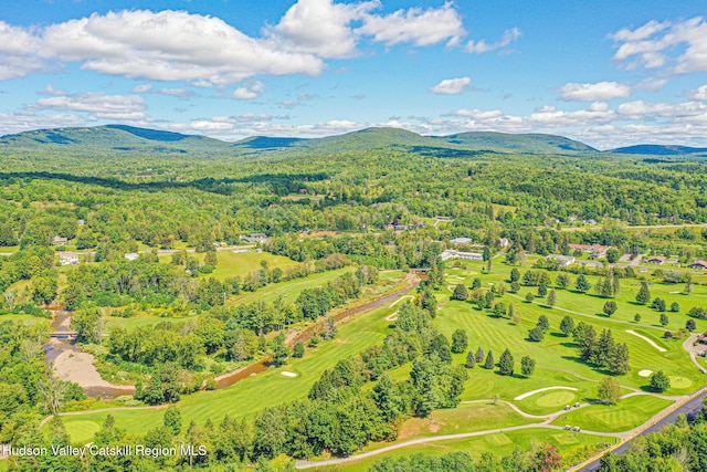 11 Copper Ridge Trl, Windham, NY 12496